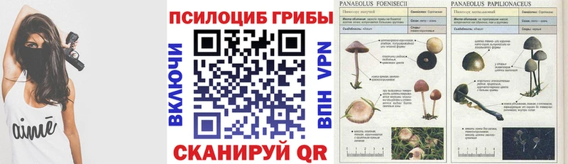 Псилоцибиновые грибы Psilocybine cubensis  Купить закладки  Дзержинский 